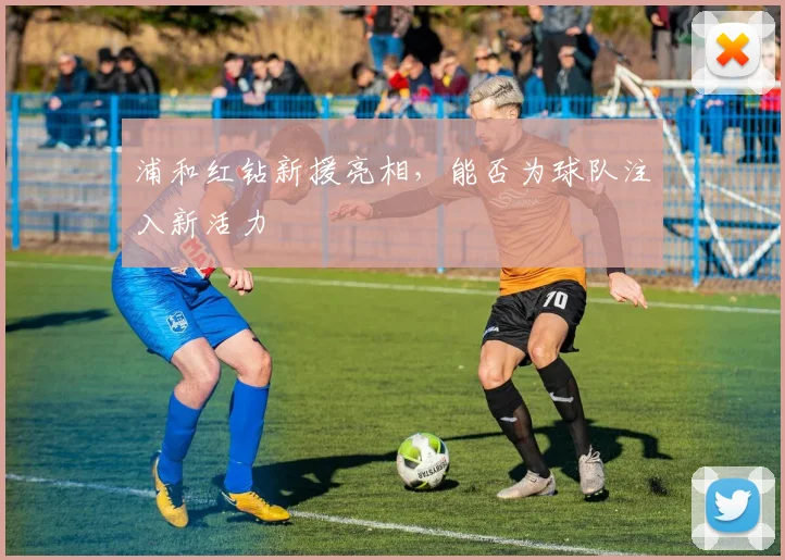 浦和红钻新援亮相,能否为球队注入新活力