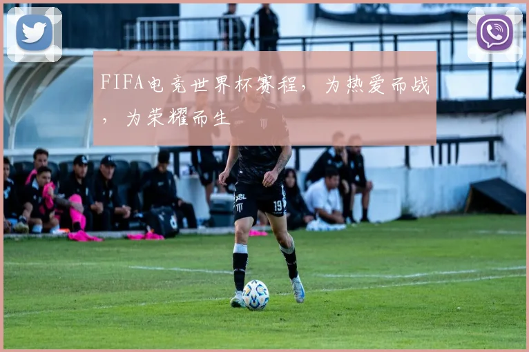 FIFA电竞世界杯赛程,为热爱而战,为荣耀而生